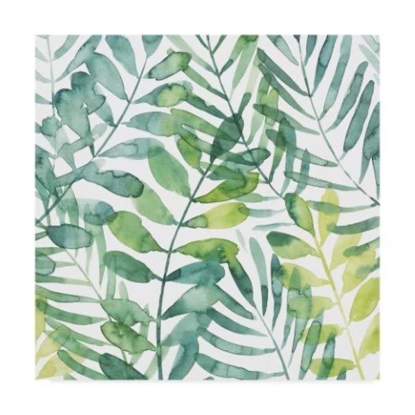 Grace Popp 'Frond Waltz I' Canvas Art, 14x14, Trademark Fine Art, Mfr#: WAG08305-C1414GG